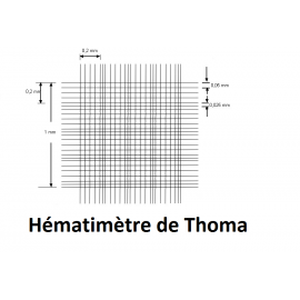 Cellule de numération Thoma, avec pinces